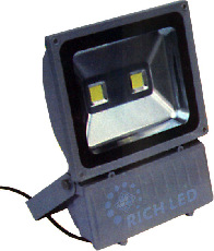 Светодиодный прожектор, 220 Вольт, 100 Ватт, IP65, RL-FL-12-100-W