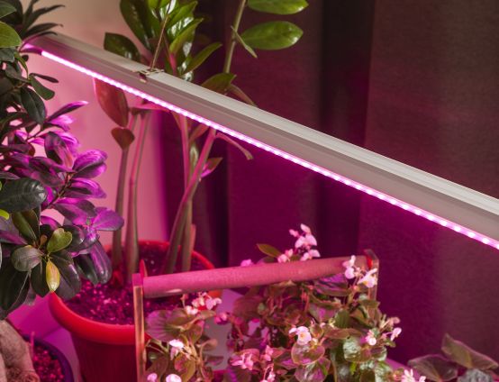 Линейные светильники для растений