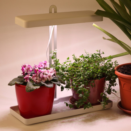 Настольный светильник для растений ЭРА FITO-20W-QLED-W полного спектра 20 Вт белый