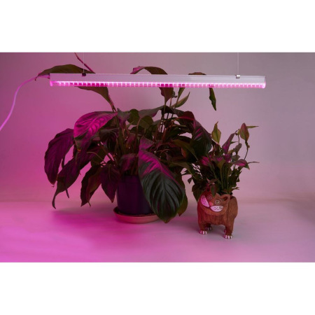 Светодиодный светильник для растений 14W, пластик, красно-синий спектр, с сетевым и соединительным шнуром в комплекте, AL7001