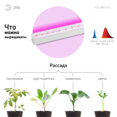 Светильник для растений, фитолампа светодиодная линейная ЭРА FITO-9W-Т5-N красно-синего спектра 9 Вт Т5