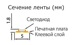 Сечение светодиодной ленты 3528 120LED 5мм Сечение светодиодной ленты 3528 120LED 5мм