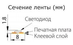 Сечение ленты 3528 120LED Сечение ленты 3528 120LED