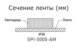 Сечение ленты SPI-5000-AM Сечение ленты SPI-5000-AM