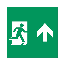 Пиктограмма EMGP-MARK-MA-UP (Человек, Вверх) (Arlight, Пластик)