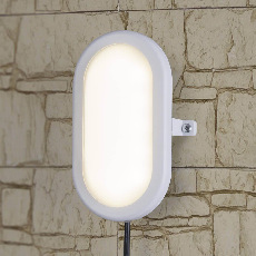 Пылевлагозащищенный светильник Elektrostandard LTB0102D LED 22 см 12W белый 4690389099113