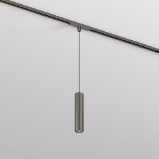Светильник для трека SHINE SPOT DK5744-DN