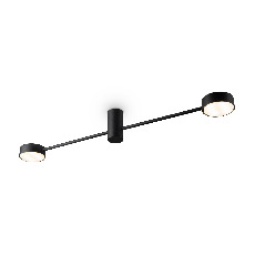 Потолочный светильник Freya FR5363CL-02B1