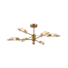 Потолочный светильник Baret, FR5420CL-06BS