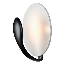Настенный светильник iLedex Spoon ZD8096S-6W BK