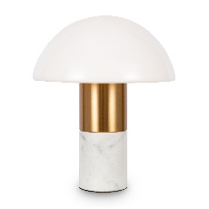 Настольный светильник Freya FR5285TL-01BS