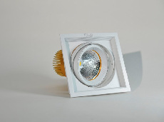 Карданный светодиодный светильник 220 Вольт, 25 Ватт, 12/24/38/60, IP20, FLED-DL 002-25-WH-2700К