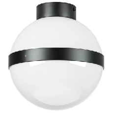 Настенно-потолочный светильник Lightstar Globo 812117