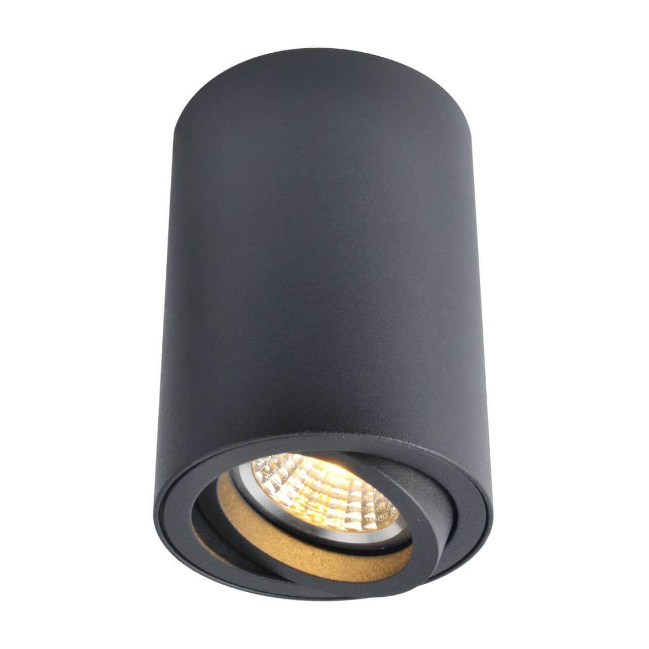 светильник точечный накладной arte lamp sentry 2 м² Светильник Arte Lamp SENTRY A1560PL-1BK