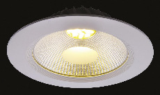Встраиваемый светильник Arte Lamp UOVO A2415PL-1WH