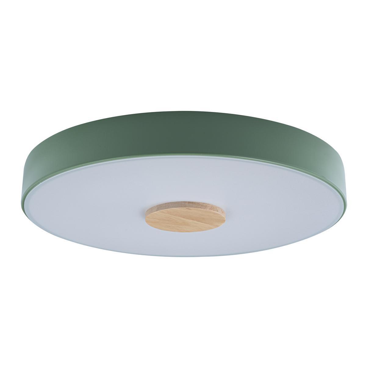 Потолочный светодиодный светильник Loft IT Axel 10003/24 green green ошейник для собак l