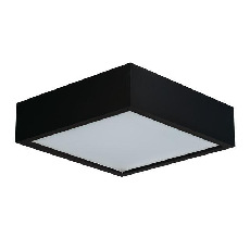 Настенный потолочный светильник Kanlux MERSA 300-B/M 29050