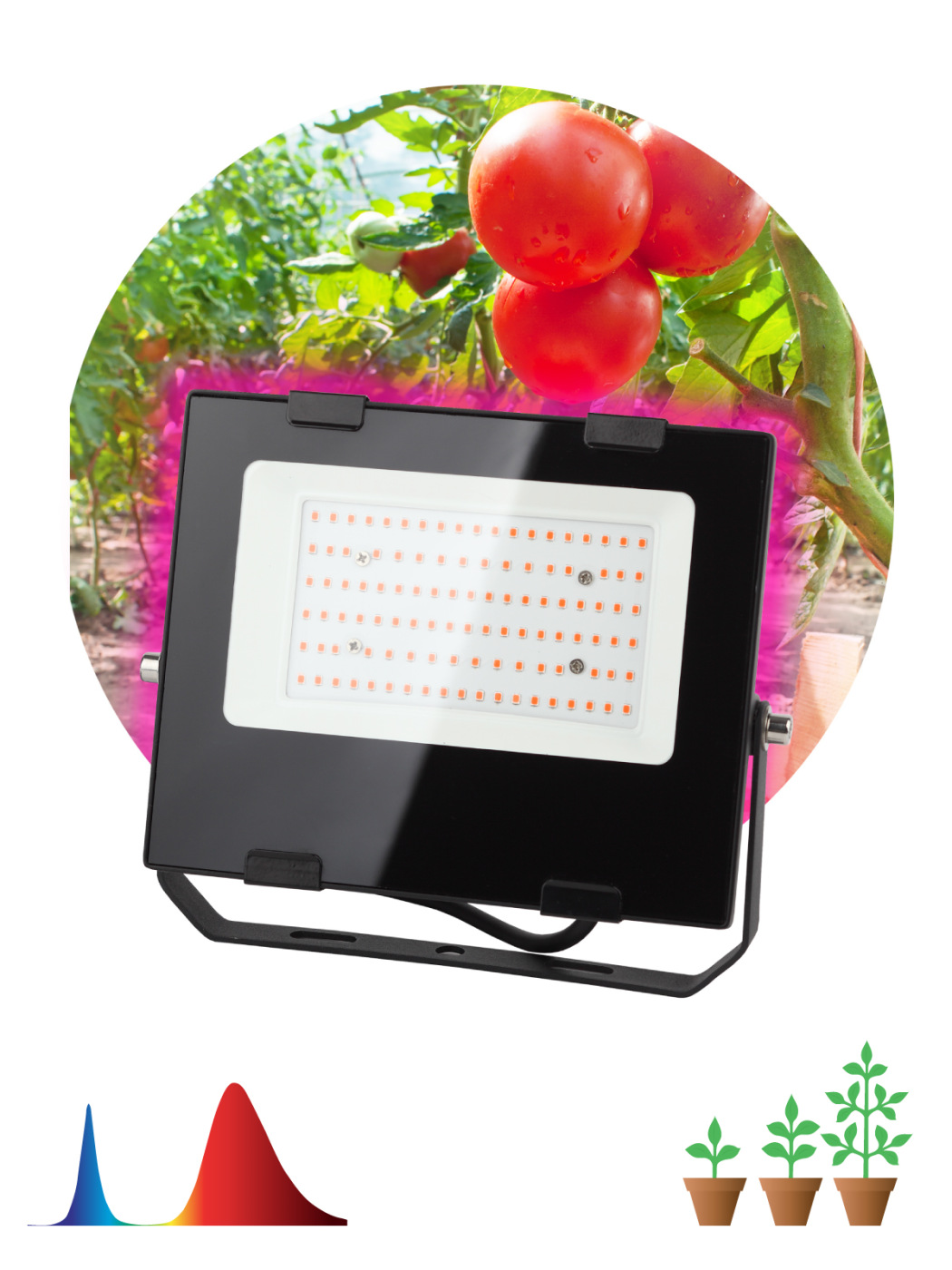 Фитопрожектор для растений светодиодный ЭРА FITO-50W-RB-LED для цветения и плодоношения красно-синего спектра 50 Вт модульный светильник для растений эра fito 3х10w line rb90 красно синего спектра 30 вт