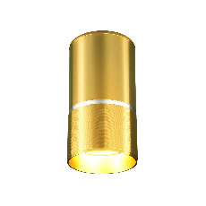 Потолочный светильник Elektrostandard DLN106 GU10 золото 4690389148613