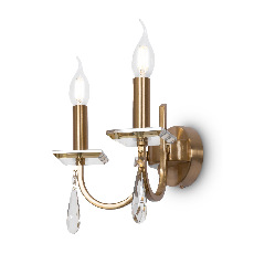 Настенный светильник (бра) Forte FR1006WL-02G