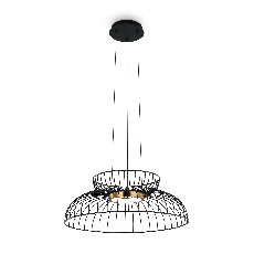 Подвесной светильник Freya FR5398PL-L6B