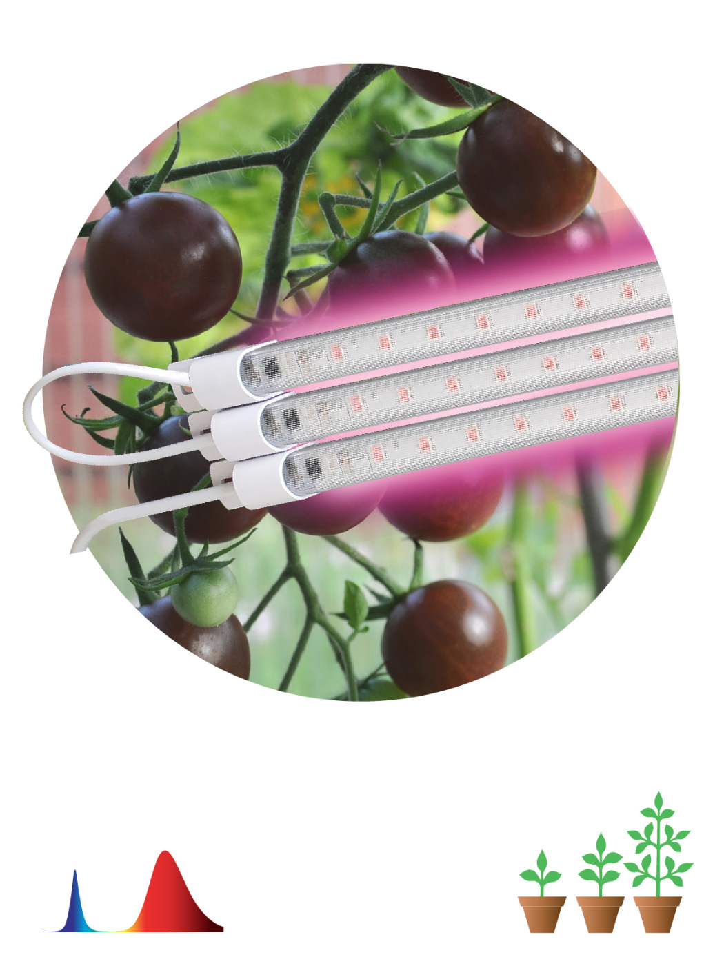 Модульный светильник для растений ЭРА FITO-3х10W-LINE-RB90 красно-синего спектра 30 Вт светильник для растений glf1 600 8bt fito