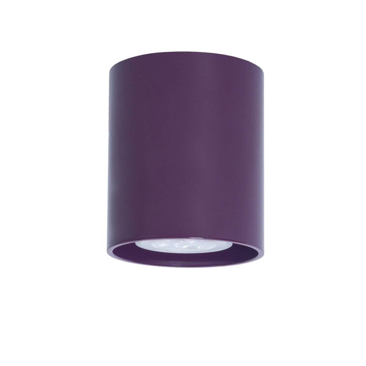 светильник садовый плавающий uniel waterlily 17x16x6 см фиолетовый света фиолетовый Потолочный светильник TopDecor Tubo8 P1 23