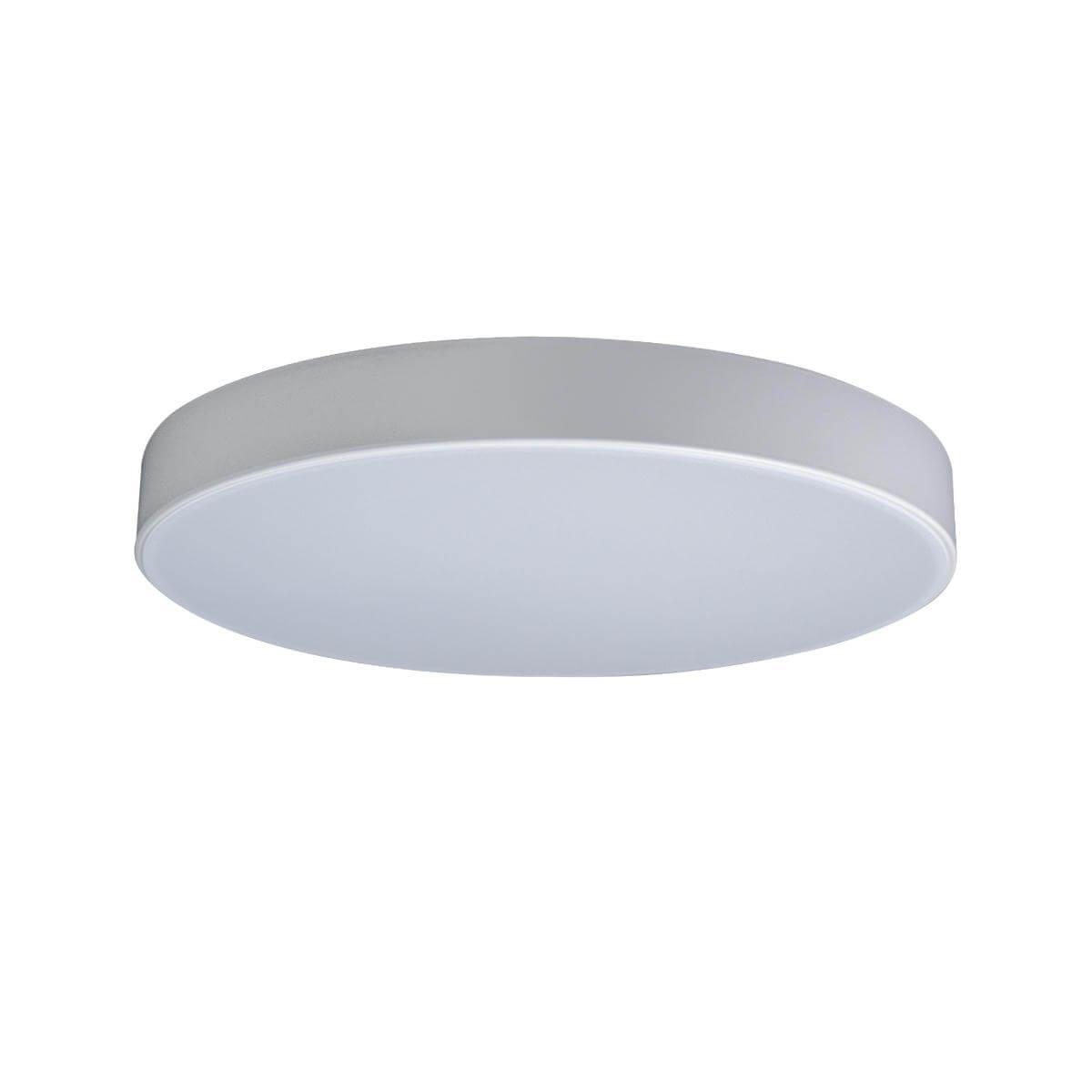 Потолочный светодиодный светильник Loft IT Axel 10002/24 white подвесная люстра loft it matisse 10008 8 white