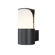 Настенный светильник (бра) Piccadilly O016WL-01B