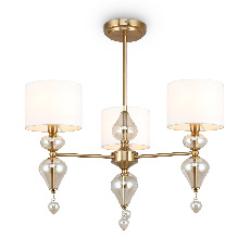 Потолочный светильник Raise, FR5369CL-03BS