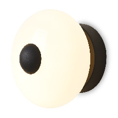 Настенный светильник (бра) Aqua FR5553WL-L6B