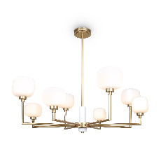 Потолочный светильник Tender, FR5373CL-08BS