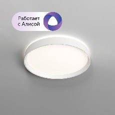 Накладной светильник Denkirs DK6510-WH