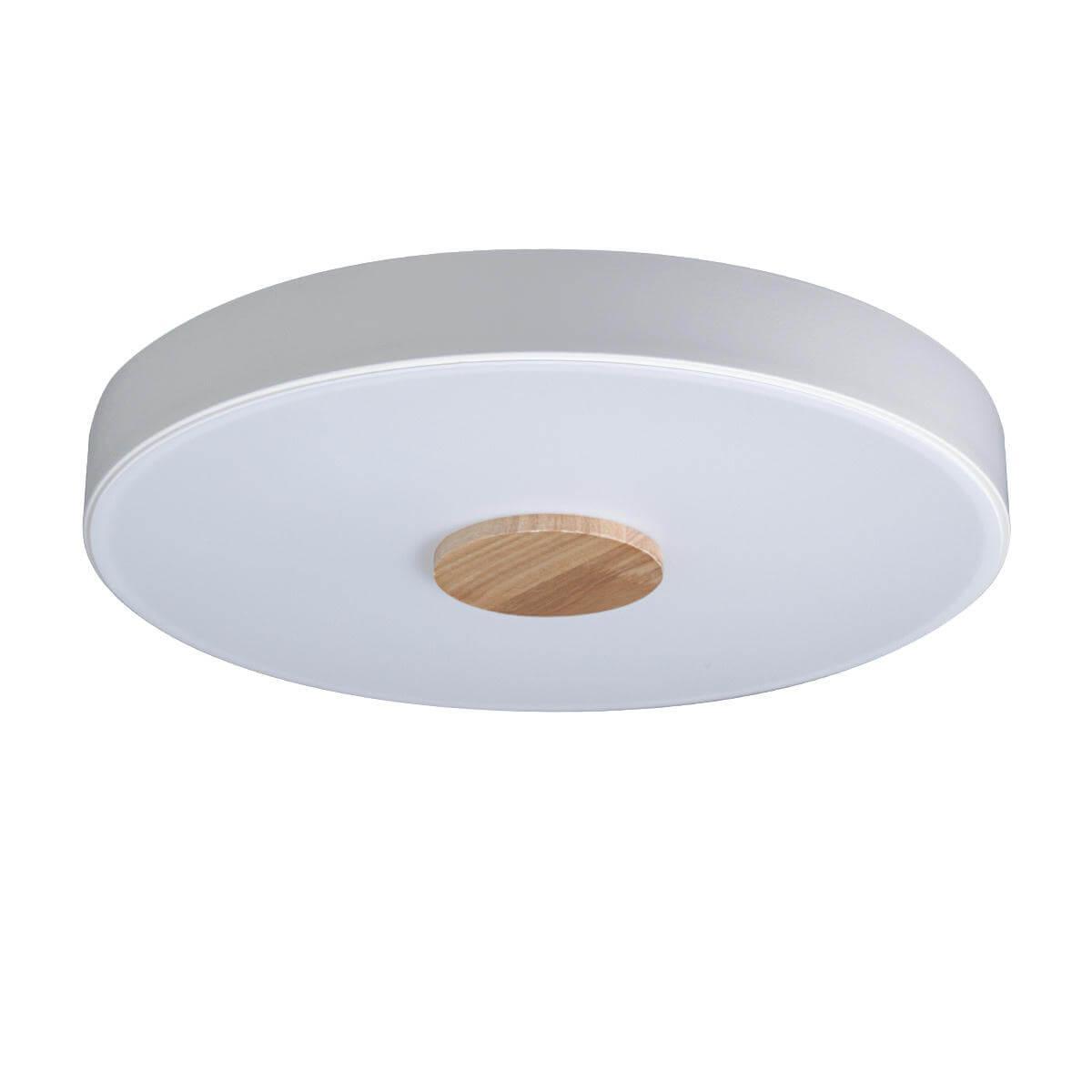 Потолочный светодиодный светильник Loft IT Axel 10003/24 white полотенцесушитель royal thermo axel white п8 500х1000