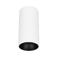 Светильник SP-SALT-R75-15W Day4000 (WH-BK, 40 deg, 230V) (Arlight, IP54 Металл, 5 лет)