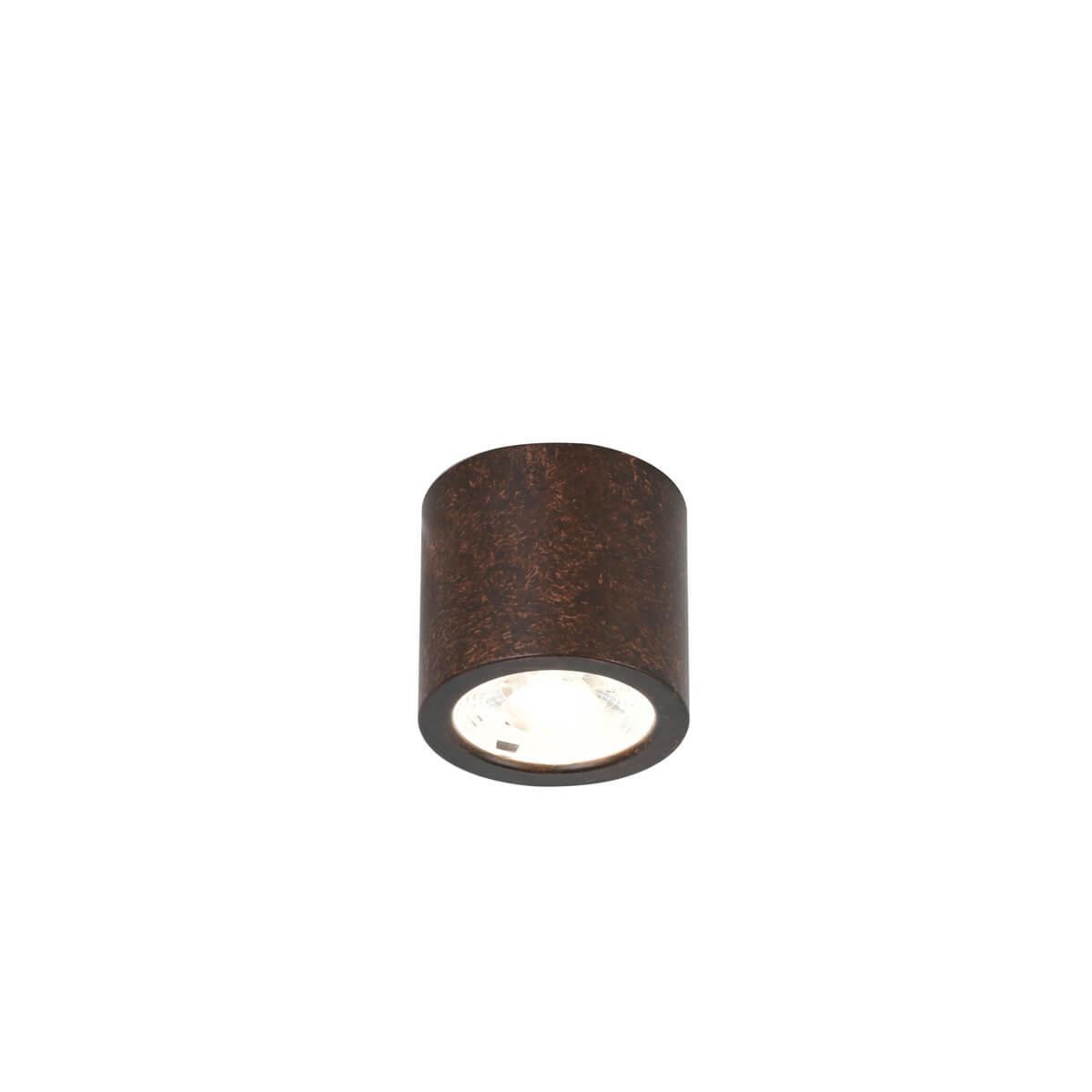 ночник светодиодный фотон мишка tgs17 с выключателем коричневый Потолочный светодиодный светильник Favourite Deorsum 2809-1C