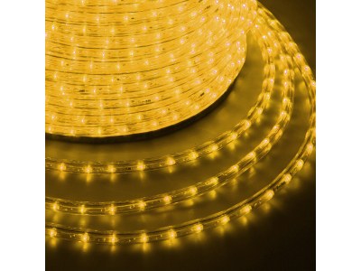 Дюралайт LED, свечение с динамикой (3W) - желтый, 24 LED/м, бухта 100м