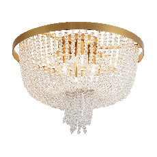 Потолочный светильник Freya FR1008CL-06BS