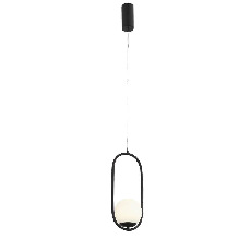Подвесной светодиодный светильник ST Luce Donolo SL395.403.01