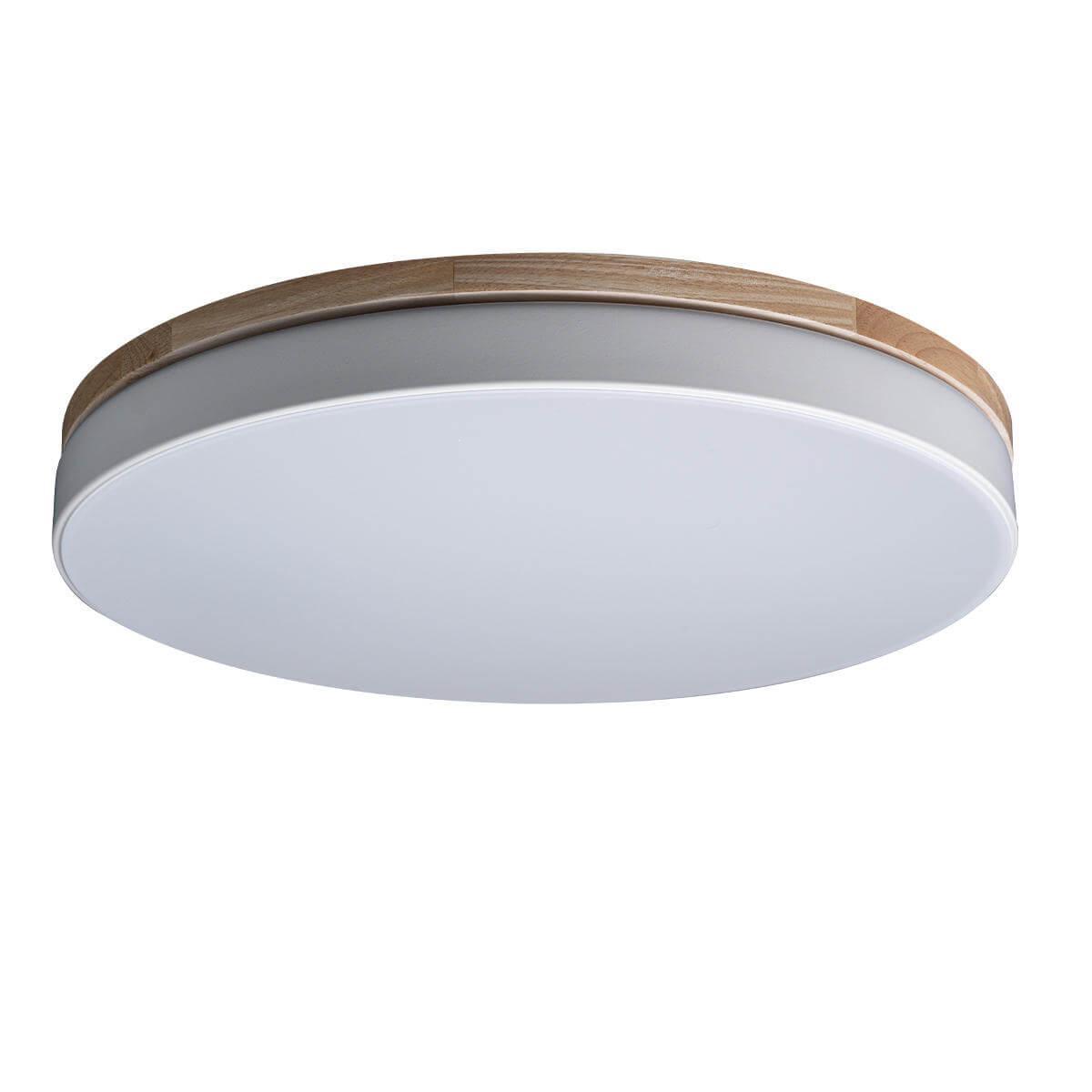 Потолочный светодиодный светильник Loft IT Axel 10001/36 white бра loft it axel 10134 grey
