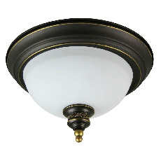 Потолочный светильник Arte Lamp Bonito A9518PL-2BA