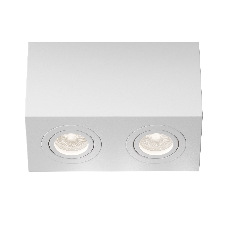 Потолочный светильник Atom GU10 2x50Вт C017CL-02W