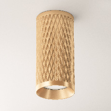 Потолочный светильник Focus Design C036CL-01G