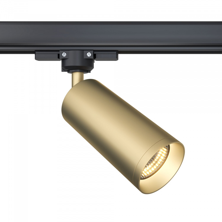 Трековый светильник Focus TR028-3-GU10-MG гравюра бигль с металлическим эффектом золота а4