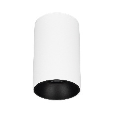 Светильник SP-SALT-R95-20W Day4000 (WH-BK, 40 deg, 230V) (Arlight, IP54 Металл, 5 лет)