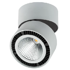 Светильник накладной заливающего света со встроенными светодиодами Forte Muro 214859