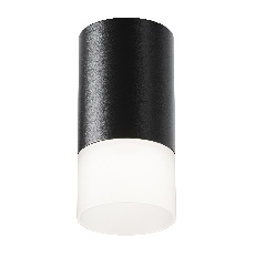 Потолочный светильник Pauline C007CW-01B