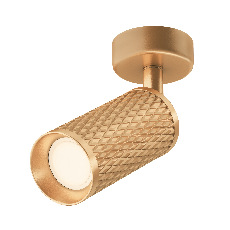 Потолочный светильник Focus Design C034CL-01G