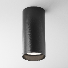 Потолочный светильник Focus C010CL-01B