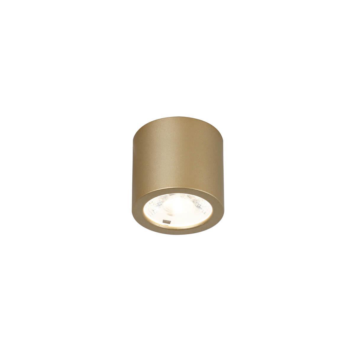 Потолочный светодиодный светильник Favourite Deorsum 2807-1C потолочный светильник deorsum led 7вт